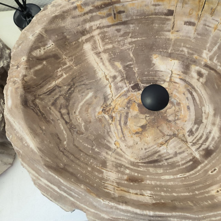 Раковина из окаменелого дерева ПАРА!! Fossil Basin OD-02480 (63*51*16) 0091