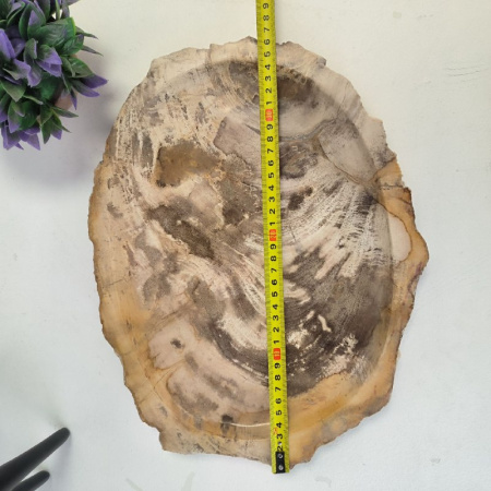 Набор из окаменелого дерева 4 предм Fossil Set NF-02871 поднос 29см*36см