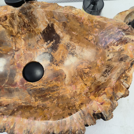 Раковина из окаменелого дерева Fossil Basin OD-02407 (63*37*15) 0091