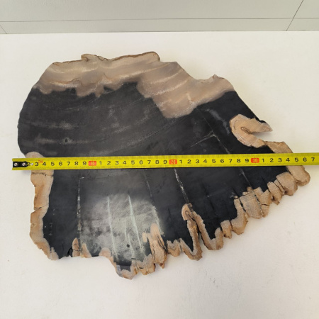 Набор из окаменелого дерева 4 предм Fossil Set NF-03292 поднос 149 