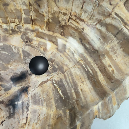 Раковина из окаменелого дерева Fossil Basin OD-02396 (64*49*16) 0090