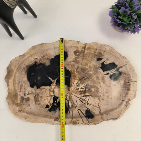 Набор из окаменелого дерева 4 предм Fossil Set NF-02863 поднос 30см*46см