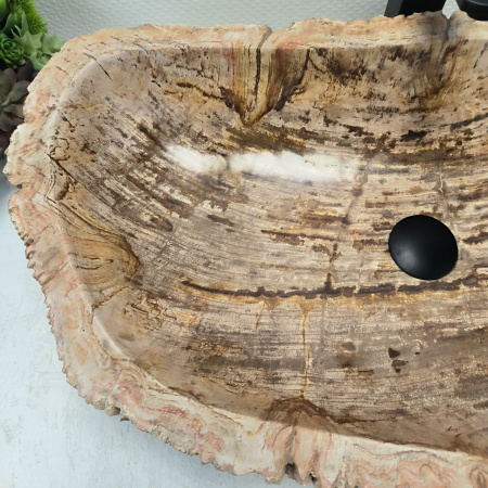 Раковина из окаменелого дерева Fossil Basin OD-02457 (84*42*15) 0090