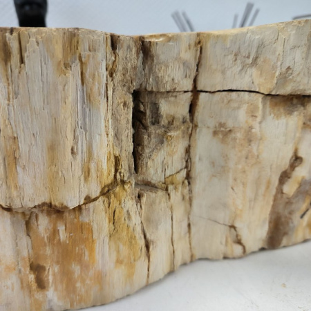 Раковина из окаменелого дерева Fossil Basin OD-02524 (61*38*15) 0089