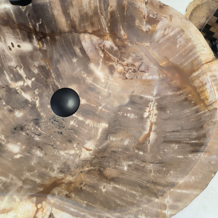 Раковина из окаменелого дерева Fossil Basin OD-02402 (61*45*16) 0089