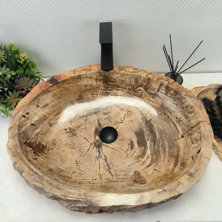 Раковина из окаменелого дерева Fossil Basin OD-02455 (65*50*15) 0089