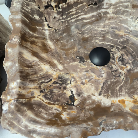 Раковина из окаменелого дерева ПАРА!! Fossil Basin OD-02411 (54*47*15) 0089