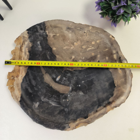Набор из окаменелого дерева 4 предм Fossil Set NF-03063 поднос 33см*38см