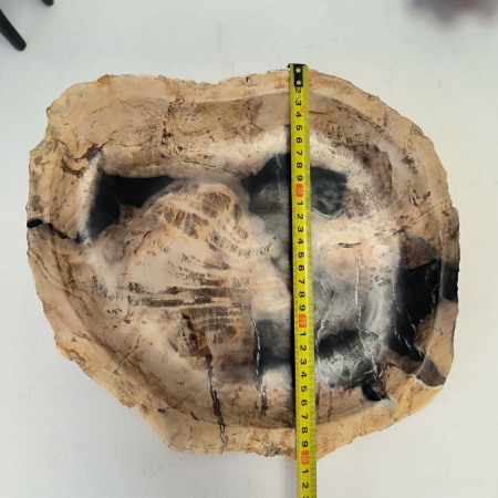 Набор из окаменелого дерева 4 предм Fossil Set NF-03072 поднос 30см*33см