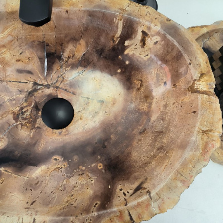 Раковина из окаменелого дерева Fossil Basin OD-02374 (56*41*15) 0089