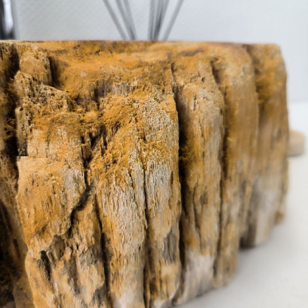 Раковина из окаменелого дерева Fossil Basin OD-02110 (55*40*16) 0088