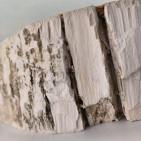 Раковина из окаменелого дерева Fossil Basin OD-02346 (58*45*15) 0089