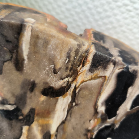 Раковина из окаменелого дерева Fossil Basin OD-02108 (50*40*15) 0088