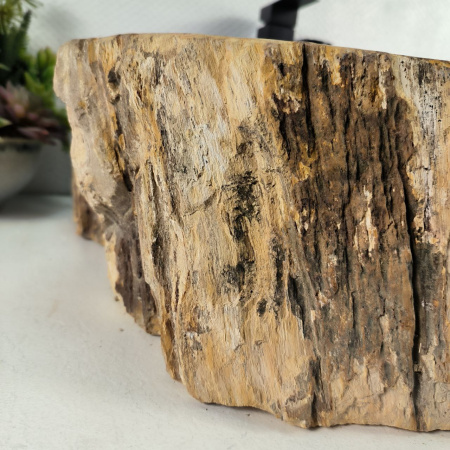 Каменная раковина из окаменелого дерева OD-04570 (54*51*16) 0176 из натурального камня