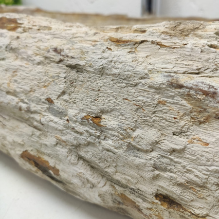 Раковина из окаменелого дерева Fossil Basin OD-01331 (89*43*15) 