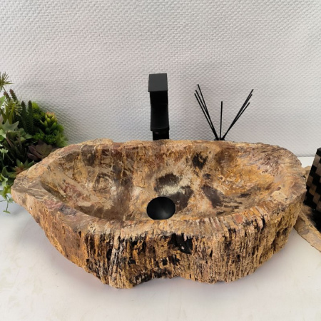 Раковина из окаменелого дерева Fossil Basin OD-02364 (60*31*15) 0089