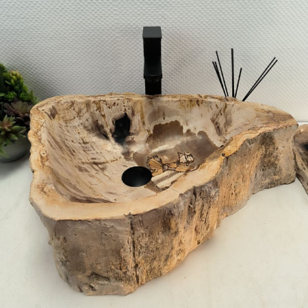 Раковина из окаменелого дерева Fossil Basin OD-02516 (59*43*15) 0089