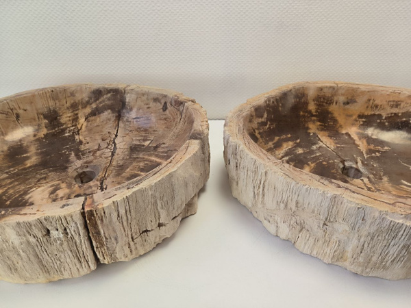 Раковина из окаменелого дерева ТРИО!! Fossil Basin OD-02102 (56*47*15) 0092
