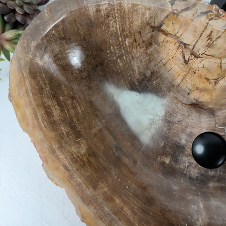 Каменная раковина из окаменелого дерева OD-04472 (63*45*15) 0176 из натурального камня