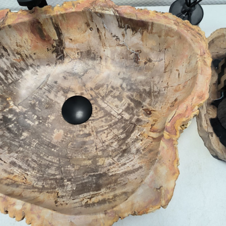 Раковина из окаменелого дерева Fossil Basin OD-02522 (51*43*14) 0089