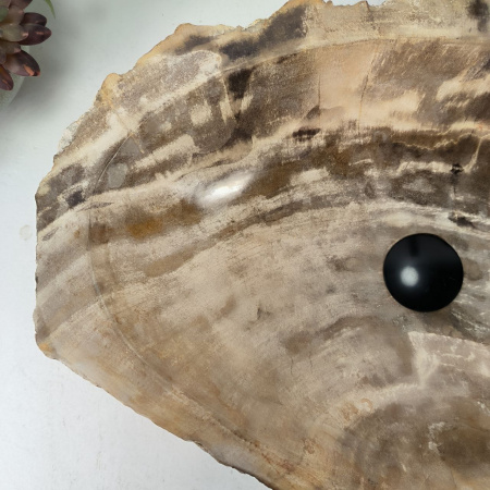 Каменная раковина из окаменелого дерева OD-04470 (63*38*15) 0177 из натурального камня