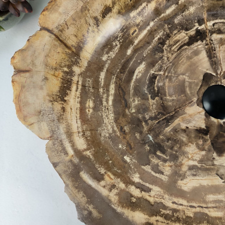 Каменная раковина из окаменелого дерева OD-04462 (68*51*15) 0177 из натурального камня