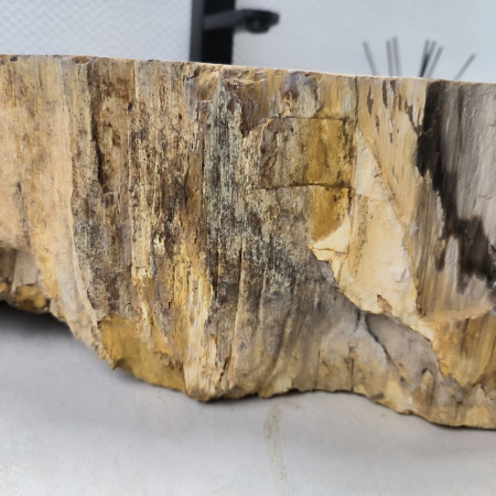 Раковина из окаменелого дерева Fossil Basin OD-02459 (74*47*17) 0090