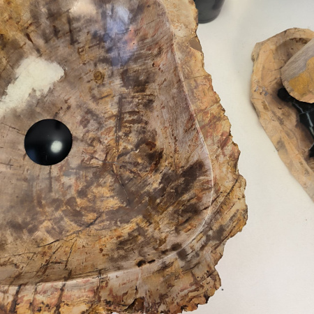 Каменная раковина из окаменелого дерева OD-04354 (50*49*15) 0176 из натурального камня