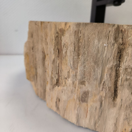 Раковина из окаменелого дерева Fossil Basin OD-02339 (51*43*15) 0089