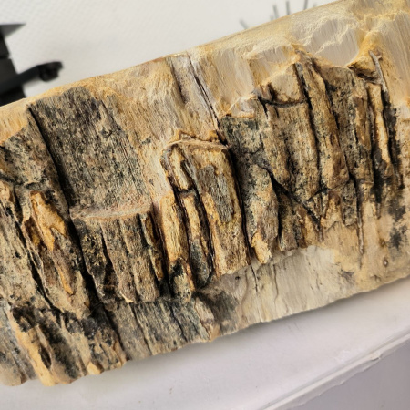 Раковина из окаменелого дерева Fossil Basin OD-02747 (67*51*16) 0089