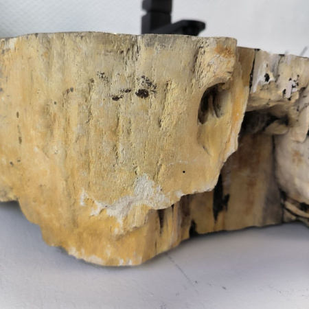 Раковина из окаменелого дерева Fossil Basin OD-02999 (63*38*15) 0089