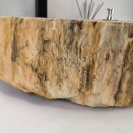 Раковина из окаменелого дерева Fossil Basin OD-02759 (47*44*15) 0089