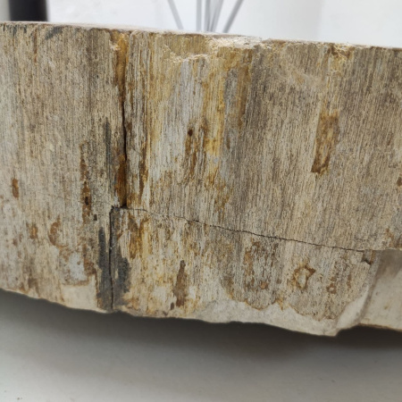 Раковина из окаменелого дерева Fossil Basin OD-01207 (53*51*14) 