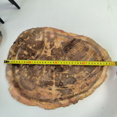 Набор из окаменелого дерева 4 предм Fossil Set NF-02855 поднос 30см*40см