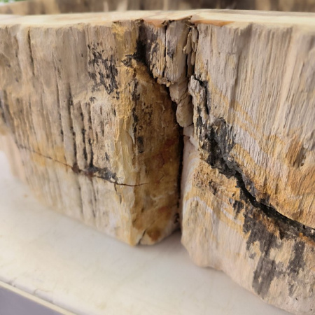 Раковина из окаменелого дерева Fossil Basin OD-02402 (61*45*16) 0089