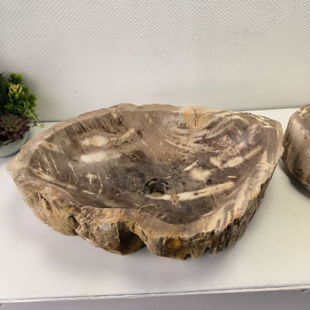 Раковина из окаменелого дерева ПАРА!! Fossil Basin OD-02098 (66*46*16) 0092