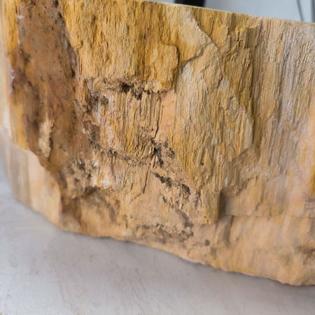 Раковина из окаменелого дерева Fossil Basin OD-02416 (59*49*15) 0089