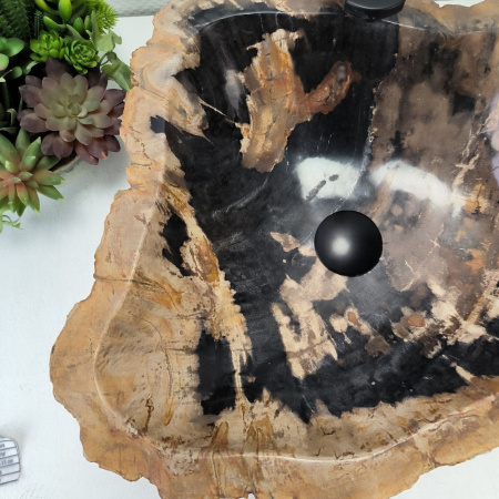 Раковина из окаменелого дерева Fossil Basin OD-02743 (48*44*16) 0089