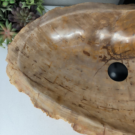 Каменная раковина из окаменелого дерева OD-04537 (67*39*16) 0176 из натурального камня