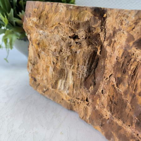 Раковина из окаменелого дерева Fossil Basin OD-02407 (63*37*15) 0091