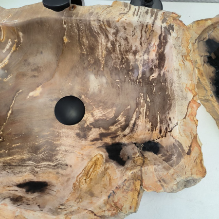 Раковина из окаменелого дерева Fossil Basin OD-02375 (56*42*15) 0088