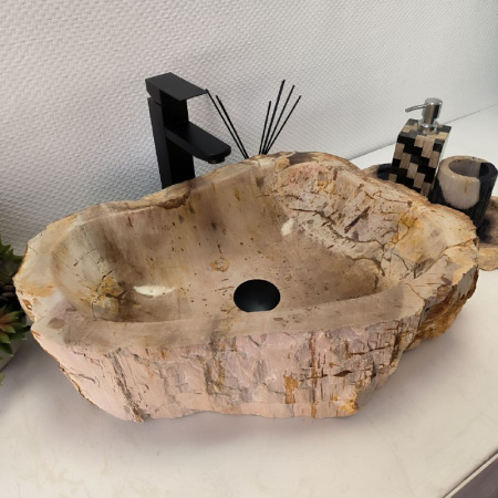Раковина из окаменелого дерева Fossil Basin OD-02366 (53*39*15) 0088