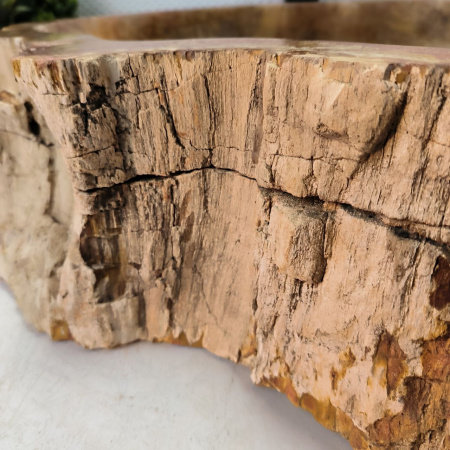 Раковина из окаменелого дерева Fossil Basin OD-02453 (60*51*16) 0091