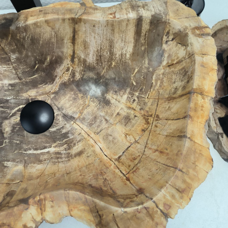 Раковина из окаменелого дерева Fossil Basin OD-02524 (61*38*15) 0089