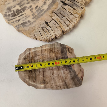 Набор из окаменелого дерева 4 предм Fossil Set NF-03284 поднос 149