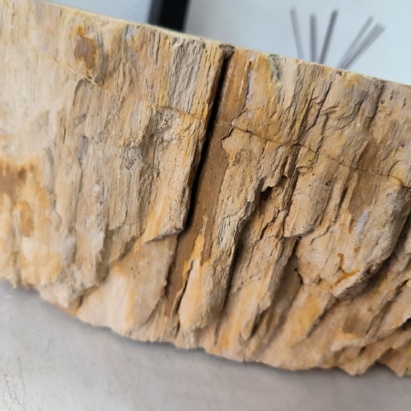 Раковина из окаменелого дерева Fossil Basin OD-02415 (53*52*14) 0089