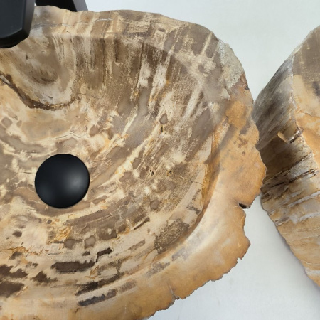 Раковина из окаменелого дерева ПАРА!! Fossil Basin OD-02337 (45*31*15) 0092