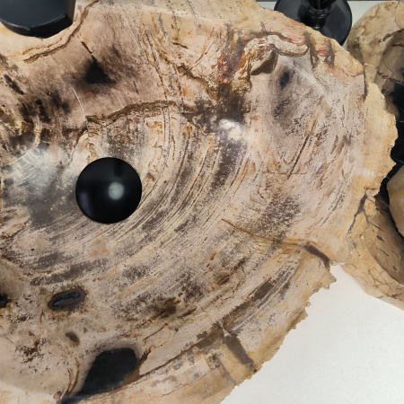 Каменная раковина из окаменелого дерева OD-04808 (47*35*16) 0175 из натурального камня