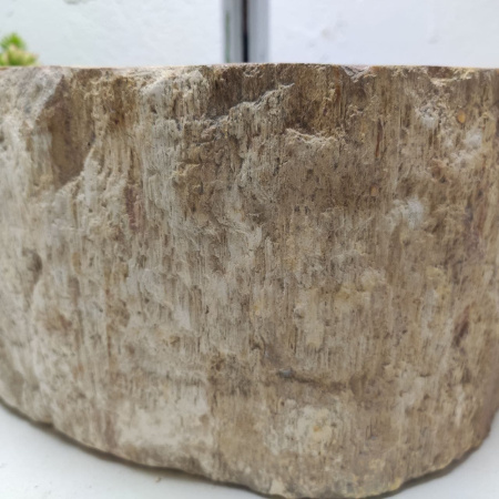 Раковина из окаменелого дерева Fossil Basin OD-01260 (37*34*15) 
