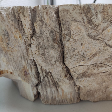 Раковина из окаменелого дерева Fossil Basin OD-01297 (54*46*15) 